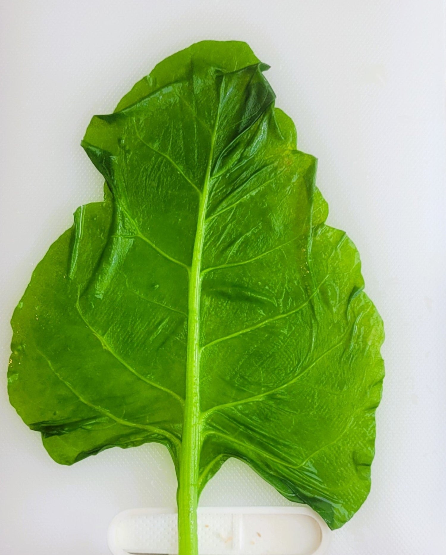 Capuns in Produktion